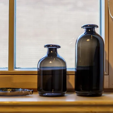 Apartment Smelynas House